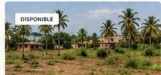 Terrain destiné à un projet immobilier au Togo